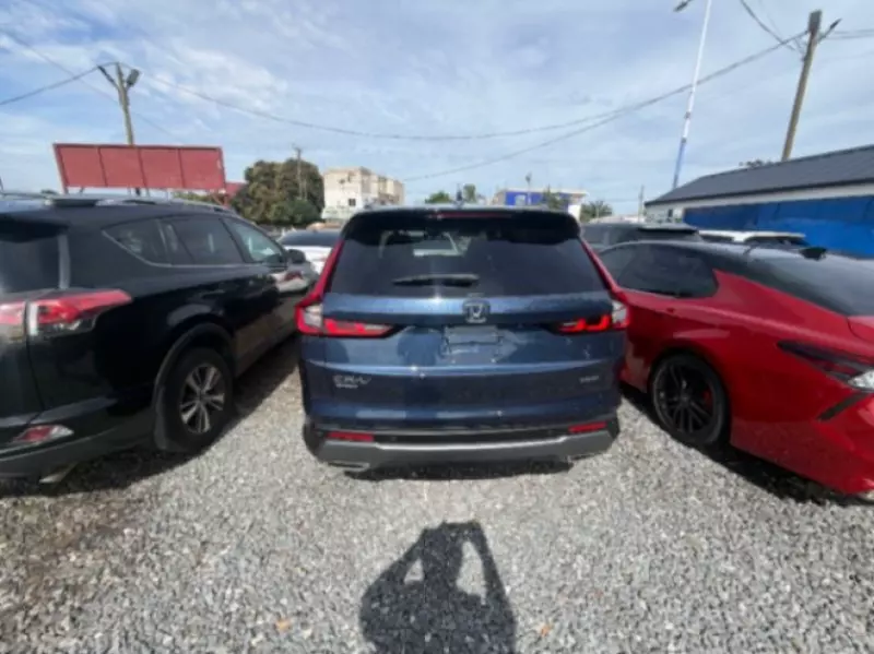Honda Cr-v   - 2025