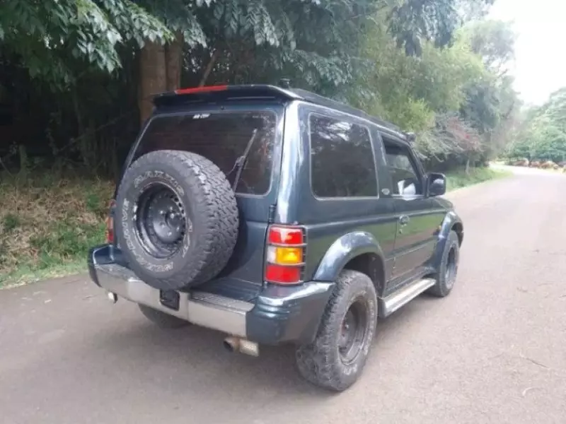 Mitsubishi Pajero   - 1992