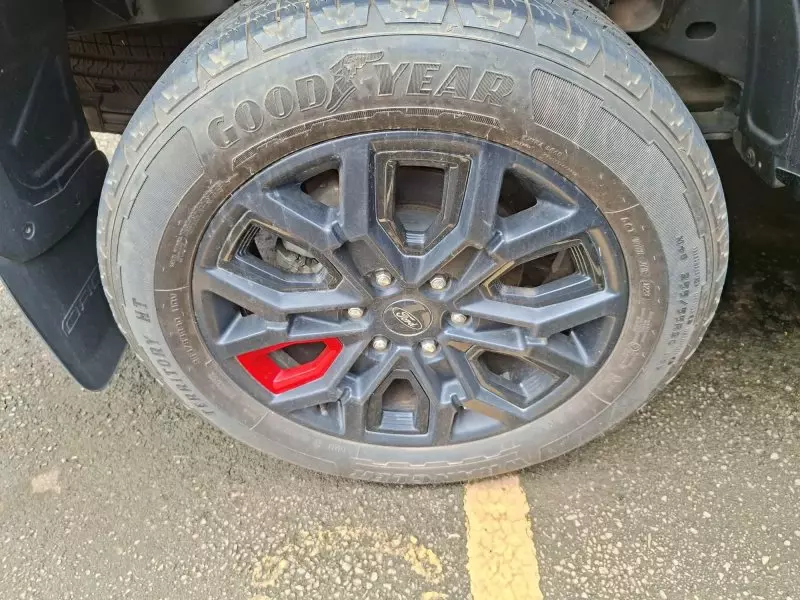 Ford Raptor   - 2024