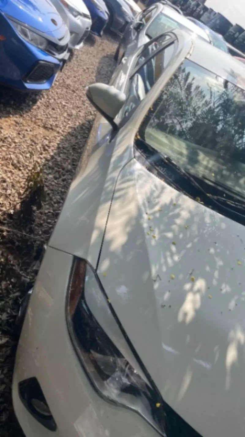 TOYOTA Corolla   - 2017