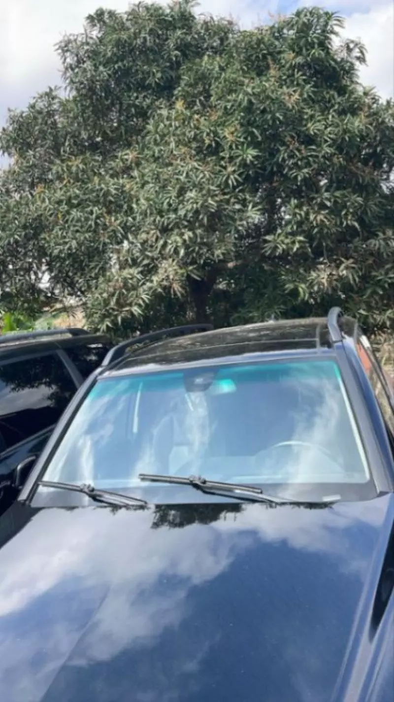 TOYOTA Camry   - 2013