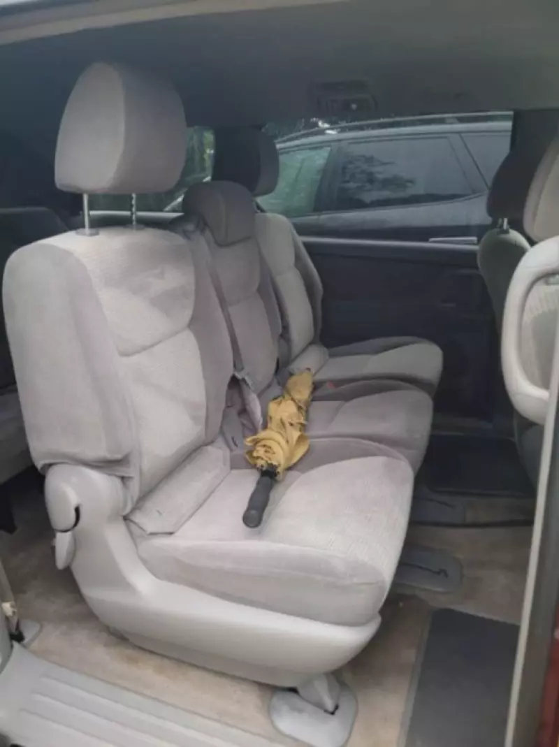 TOYOTA Sienna   - 2009