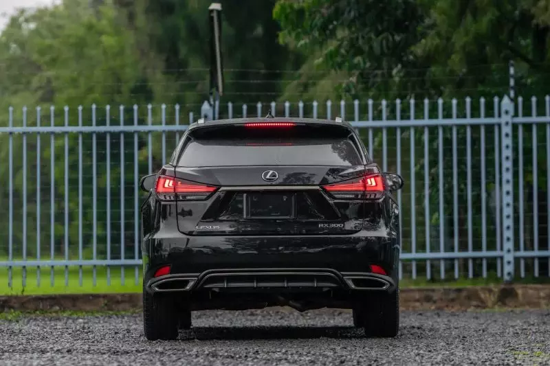 Lexus RX 300   - 2019