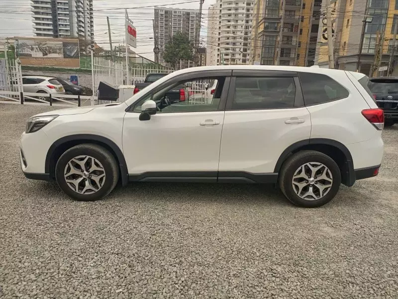 Subaru Forester   - 2019