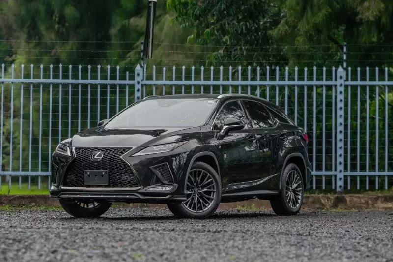 Lexus RX 300   - 2019