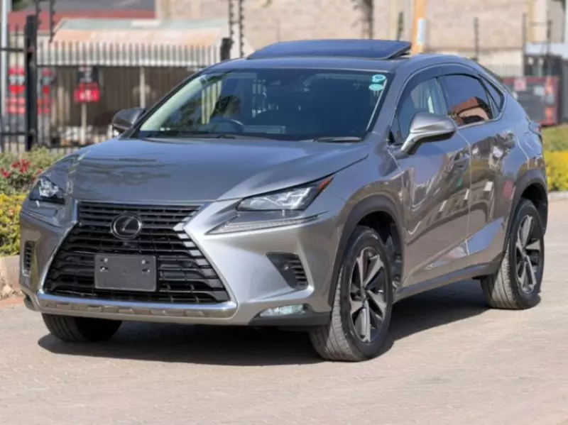 Lexus NX 300   - 2019