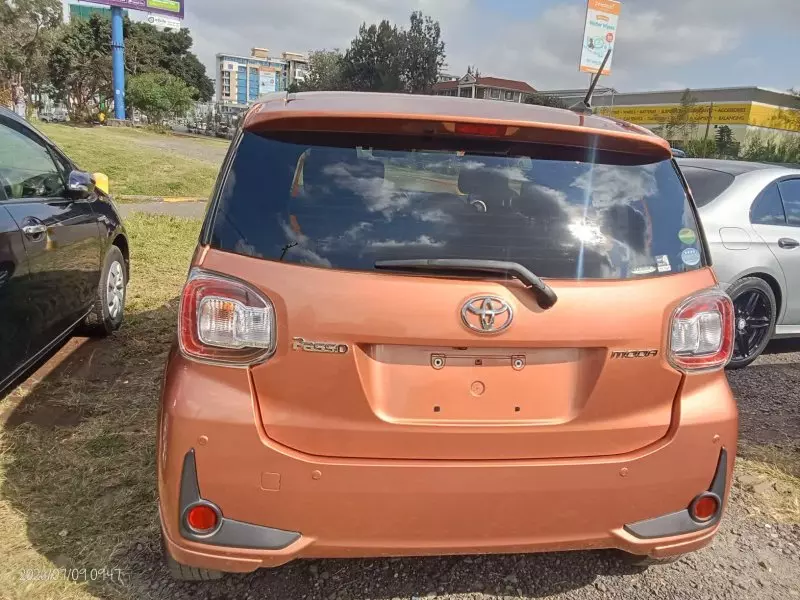 TOYOTA Passo   - 2019