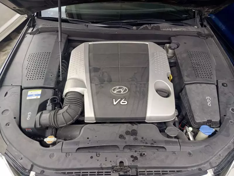 Hyundai Genesis   - 1981