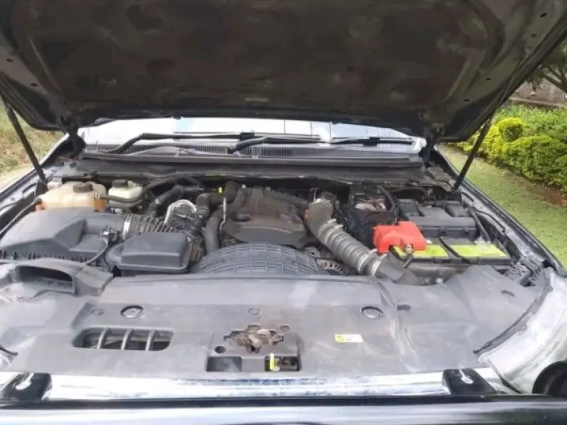Ford Everest   - 2021