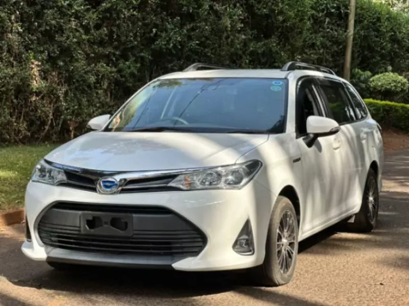 Toyota Fielder hybrid    - 2019