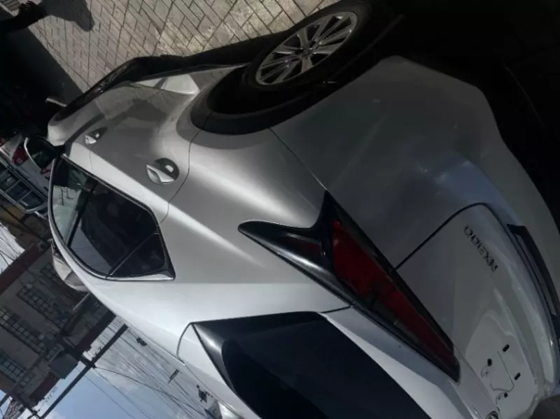 Lexus NX   - 2021