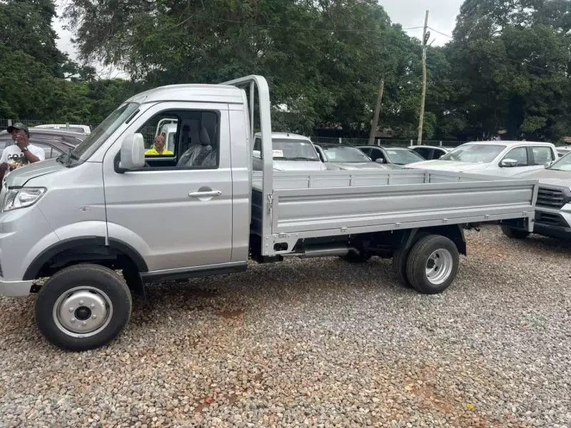 SHINERAY T50   - 2026