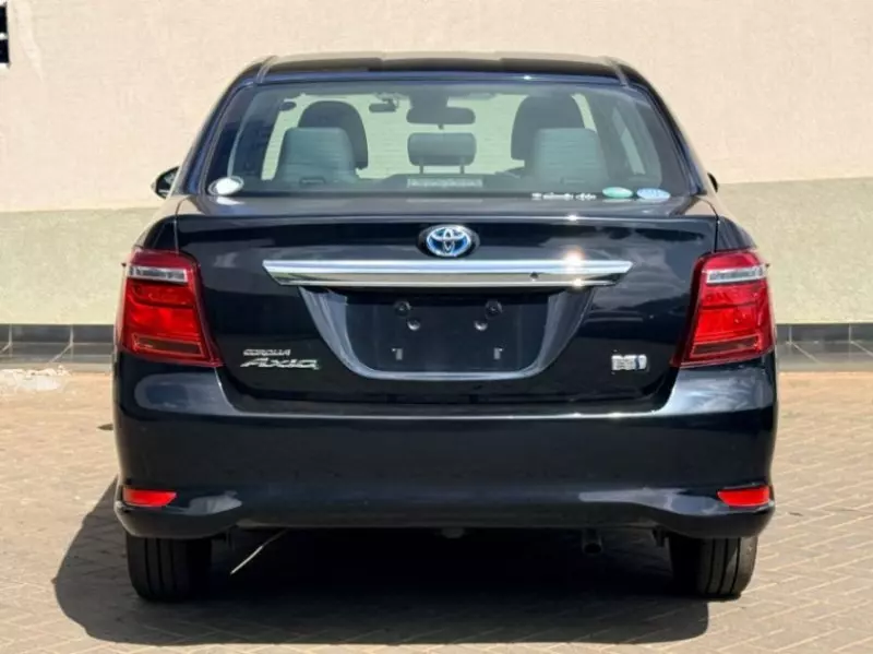 Toyota Axio    - 2019
