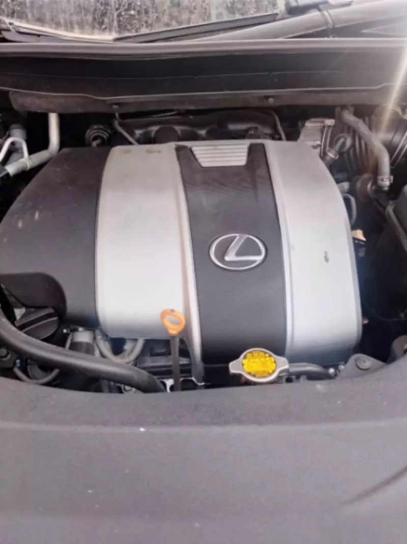 Lexus RX - 2017