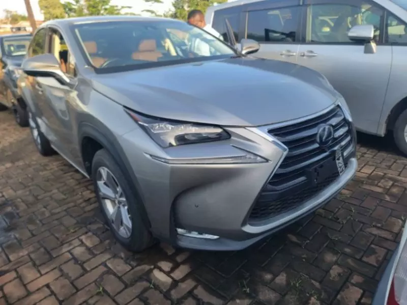 Lexus NX 300   - 2016