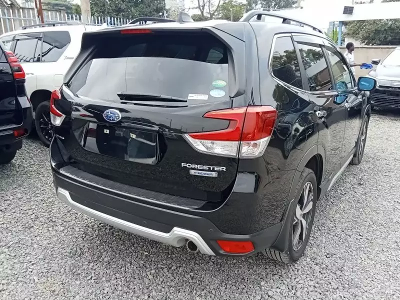 Subaru Forester   - 2019