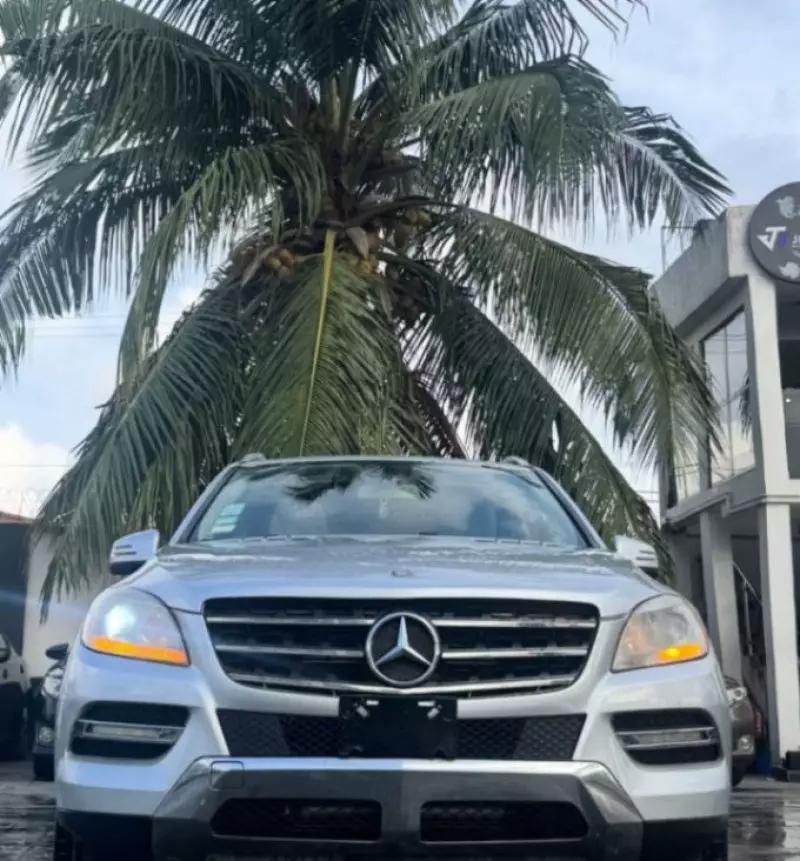 Mercedes-Benz ML 350 - 2012
