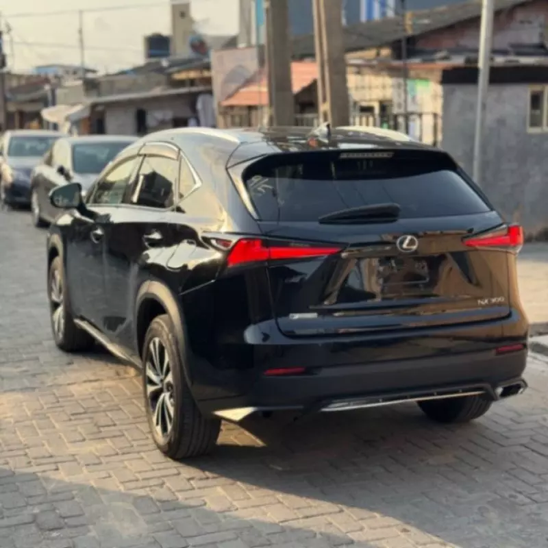Lexus NX   - 2020