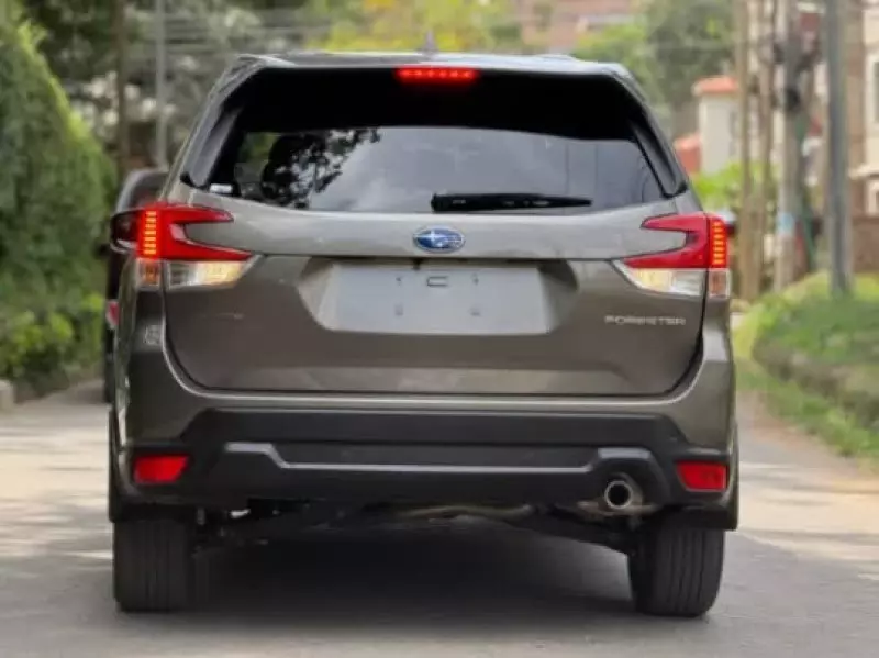 Subaru Forester   - 2019