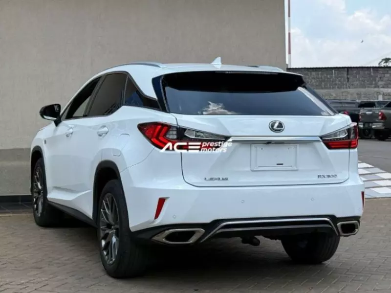 Lexus RX 300   - 2019