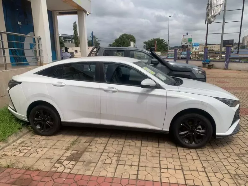 DONGFENG SHINE   - 2025