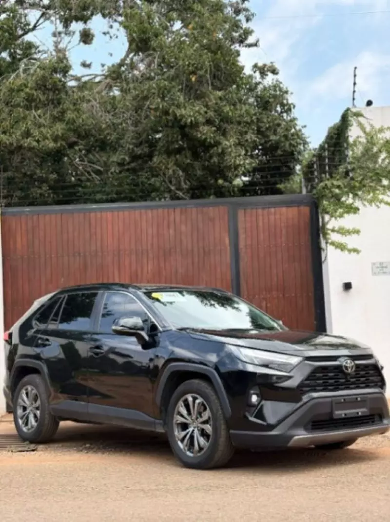 TOYOTA RAV4   - 2024