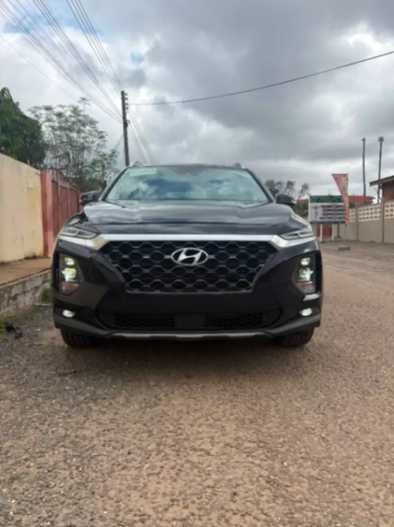 Hyundai Santa Fe - 2020