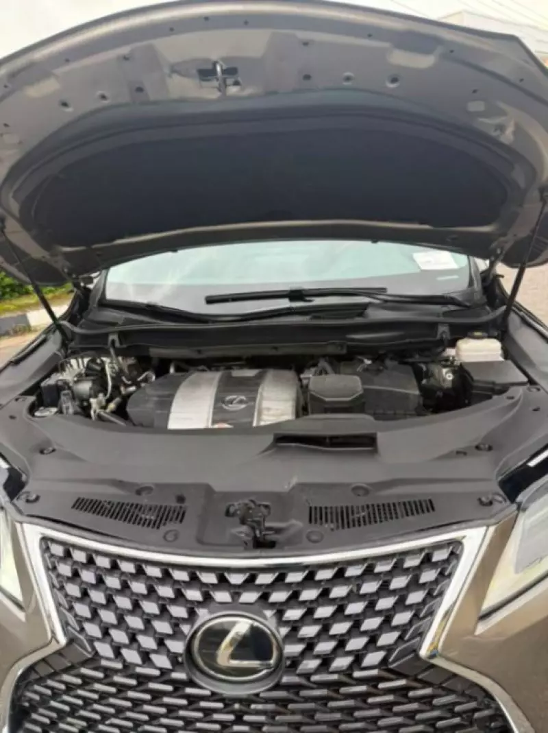Lexus RX   - 2021
