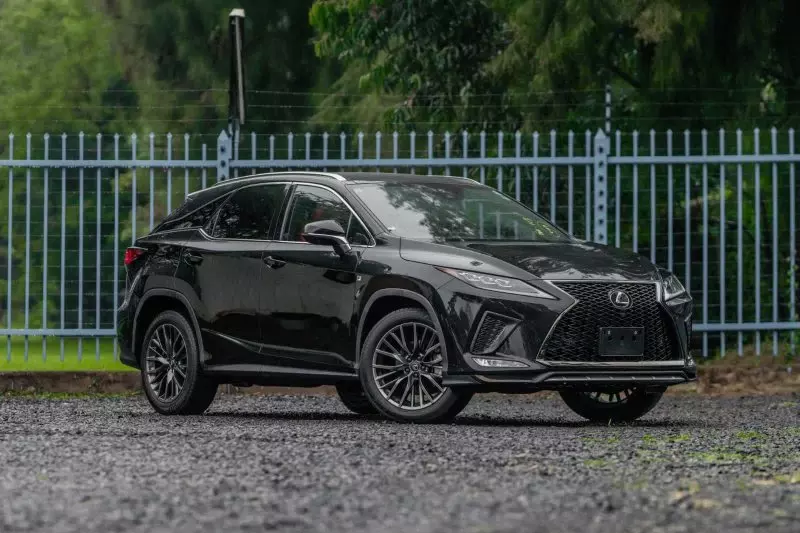 Lexus RX 300   - 2019