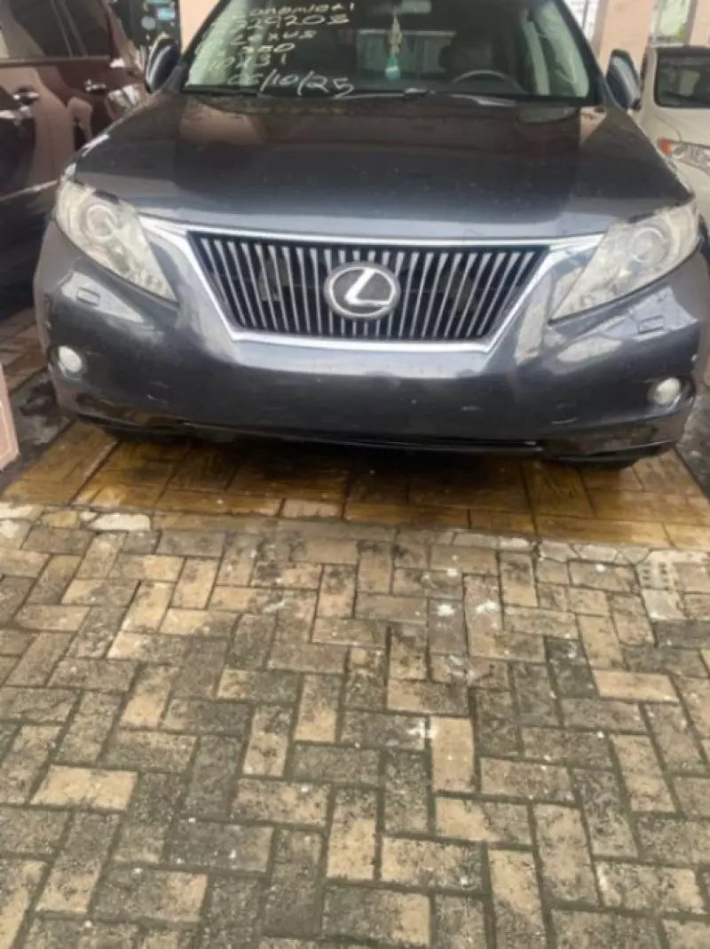 Lexus RX   - 2010