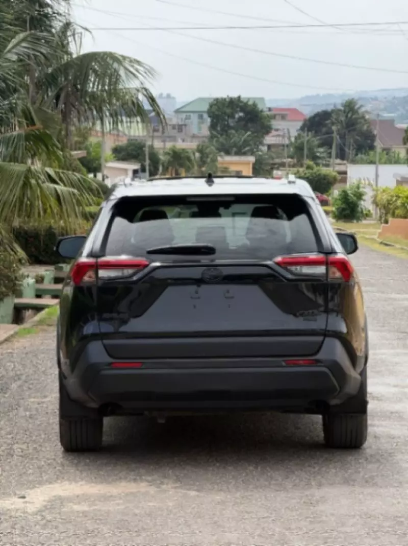 TOYOTA RAV 4   - 2019