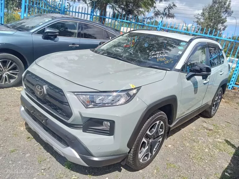 TOYOTA Rav 4 Hybrid - 2019