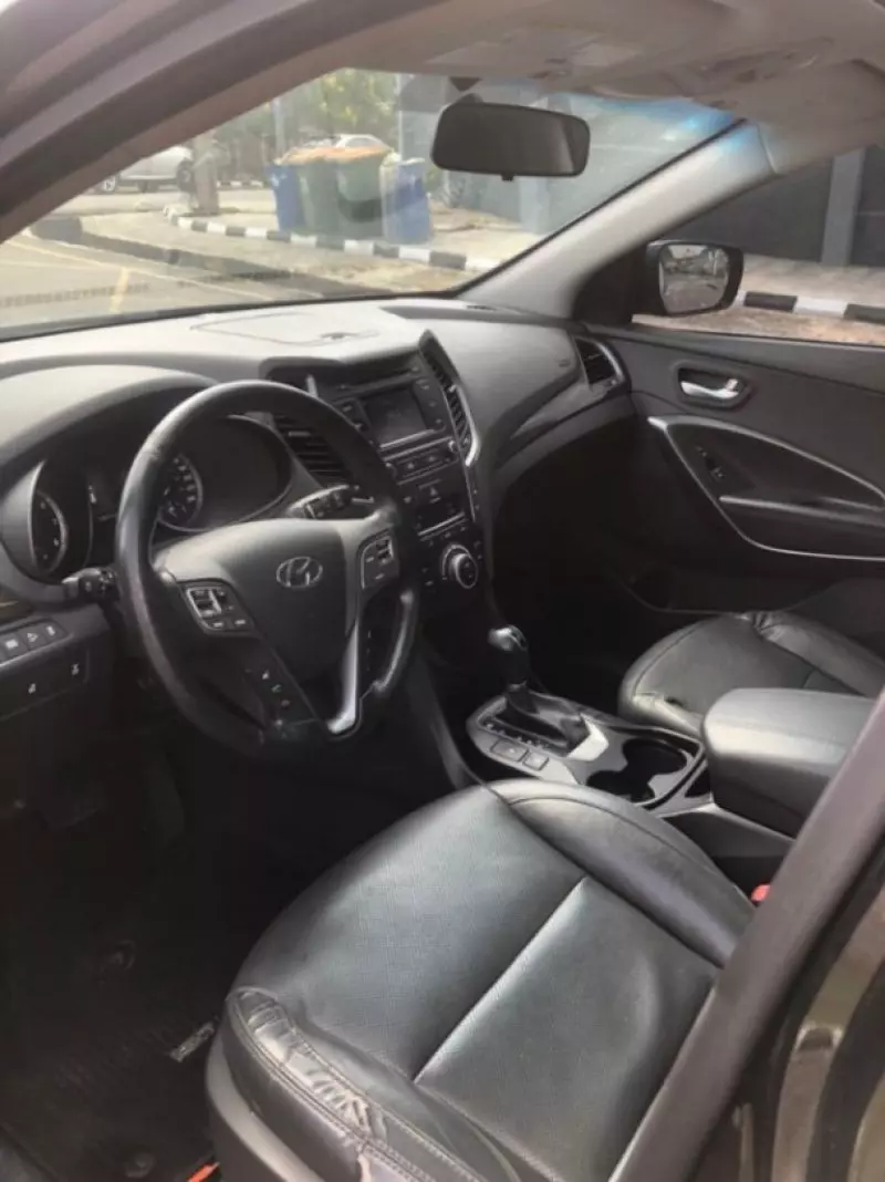 Hyundai Santa Fe - 2017