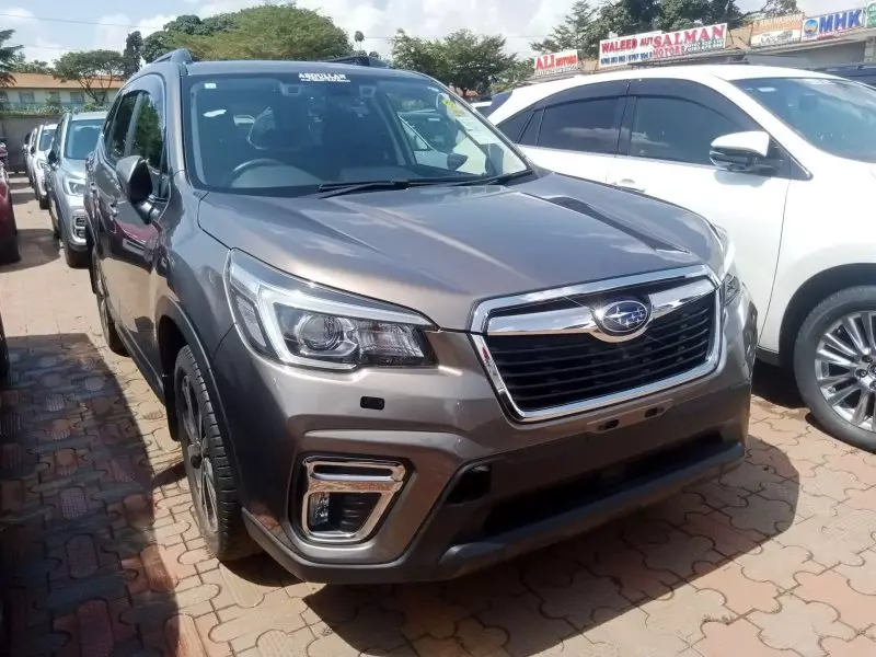 Subaru Forester   - 2019
