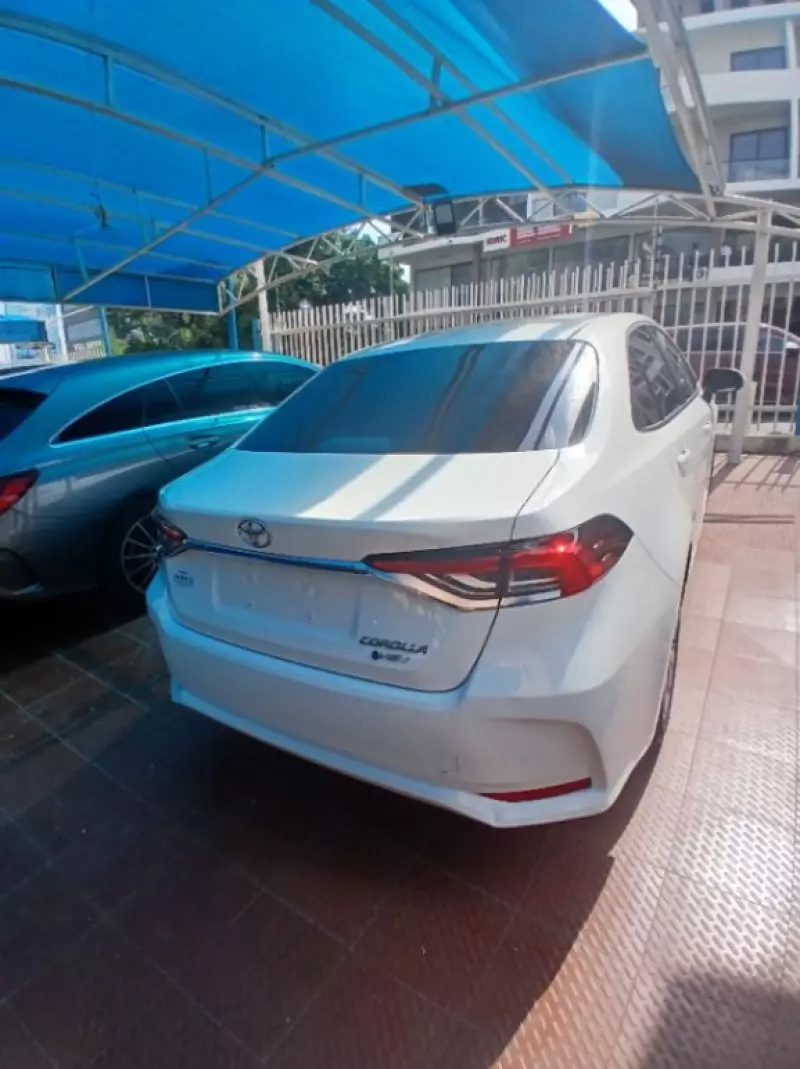 TOYOTA corolla   - 2025