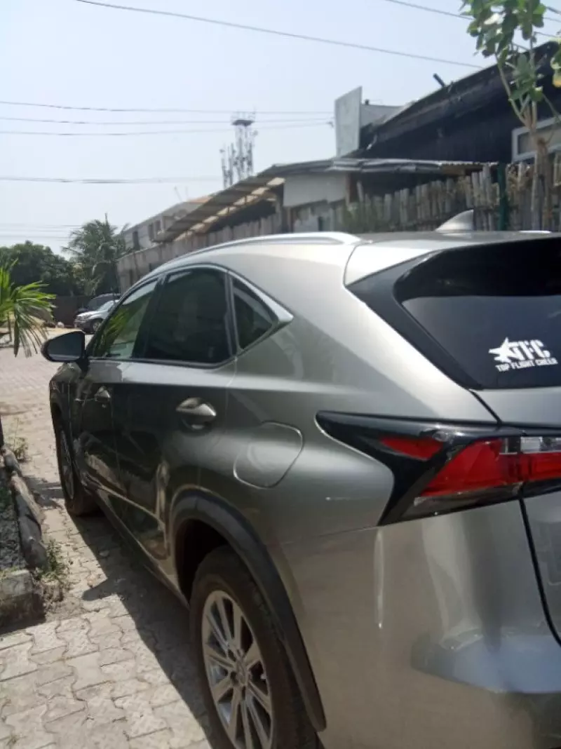 Lexus NX 300   - 2017