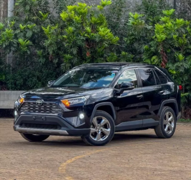 Toyota RAV 4 - 2020