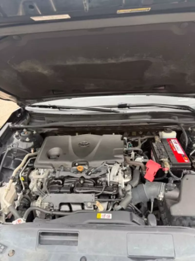 TOYOTA Camry   - 2019