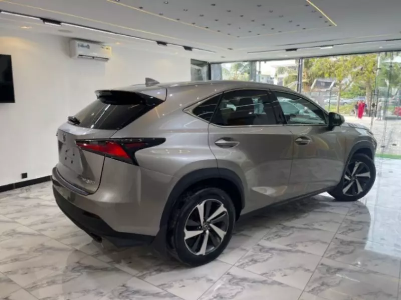 Lexus NX   - 2018