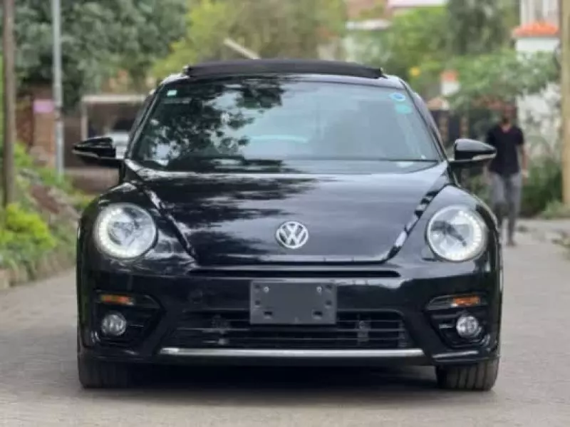 Volkswagen Beetle   - 2019