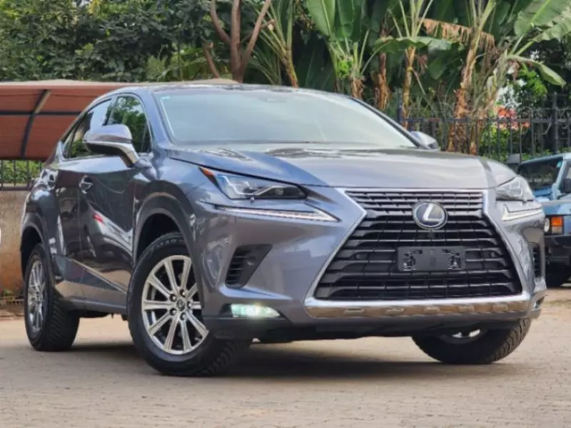 Lexus NX300h Hybrid   - 2019