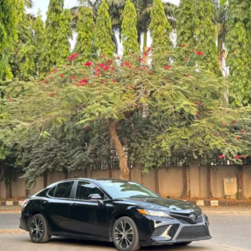 Toyota Camry   - 2020