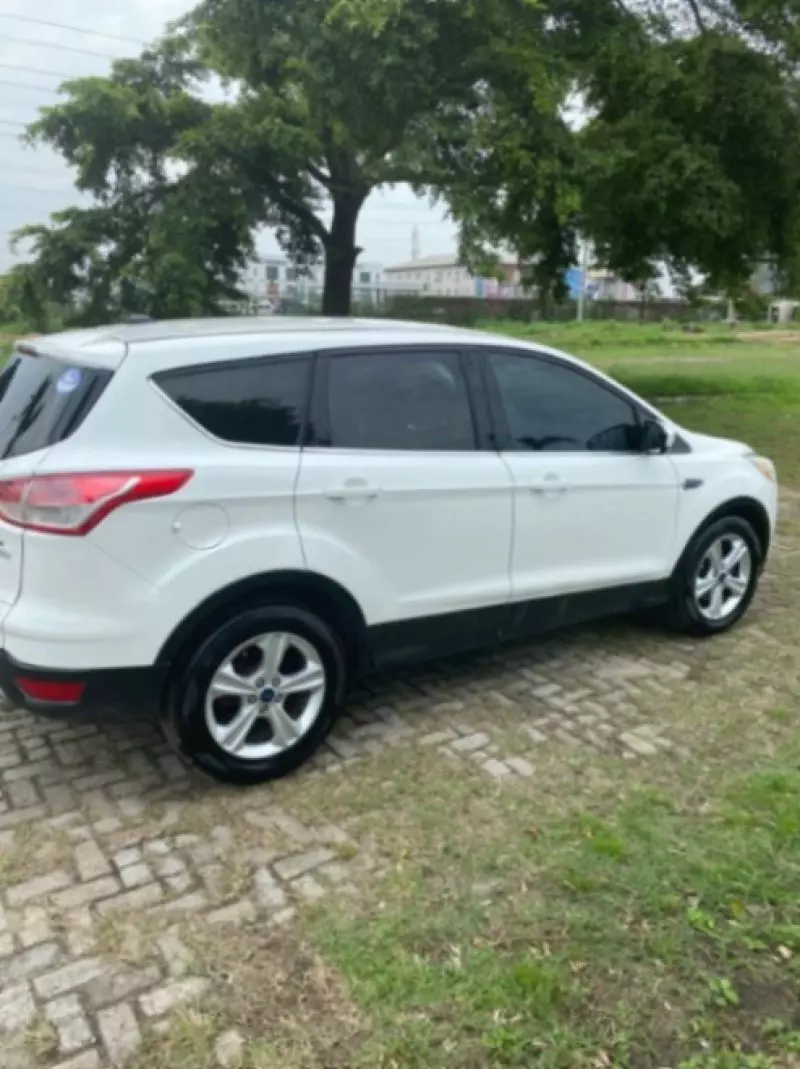 Ford Econovan   - 2019