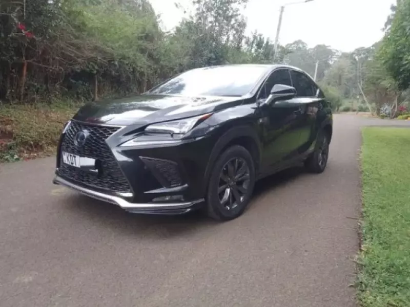 Lexus NX300h Hybrid   - 2018