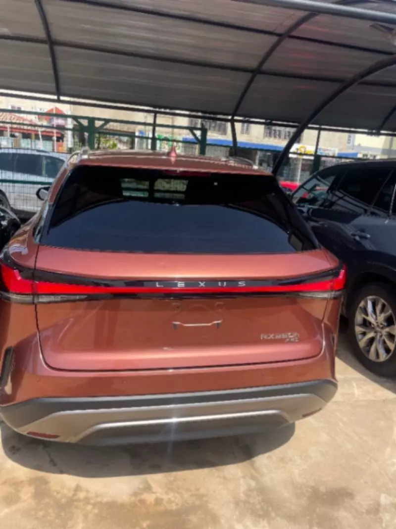 Lexus RX   - 2024