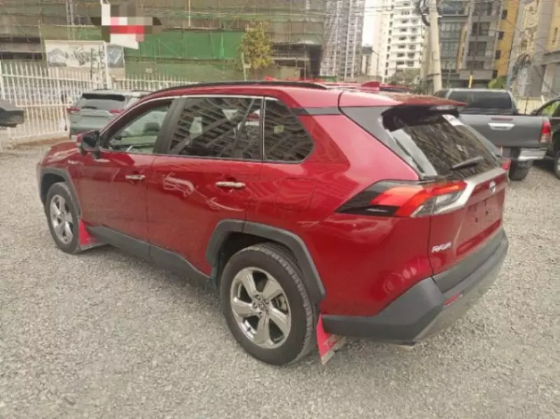 TOYOTA RAV4   - 2019