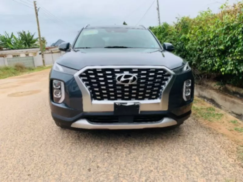 Hyundai Palisade   - 2020