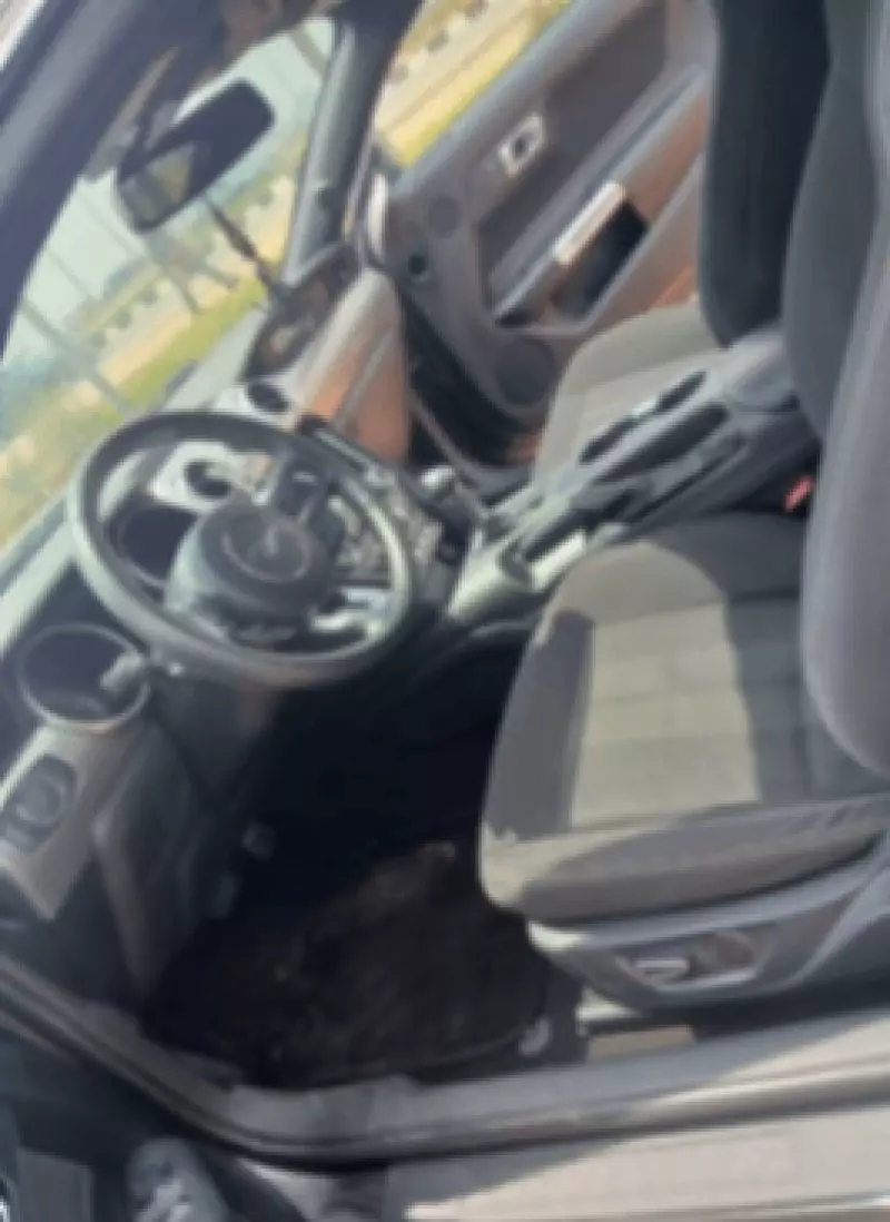 Ford Mustang   - 2019