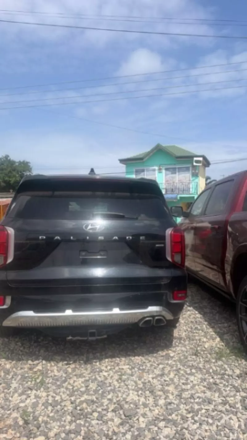 Hyundai Palisade   - 2020