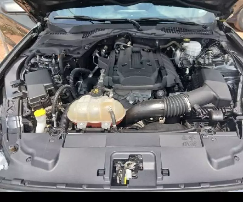 Ford Mustang   - 2019